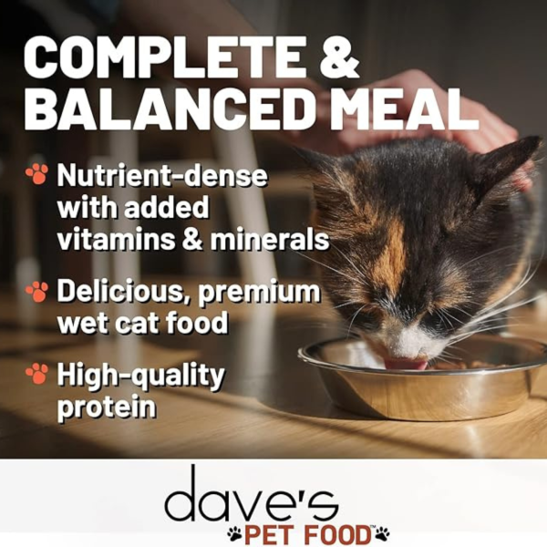 Dave s Pet Food Naturally Healthy Grain-Free Shredded Salmon Dinner in Gravy Canned Cat Food, 5.5-oz Online now