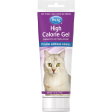 PetAg® High Calorie Gel for Cats 3.5oz Online now