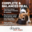 Dave s Pet Food Restricted Diet Lamb & Rice Delicate Dinner Canned Dog Food, 13-oz on Sale