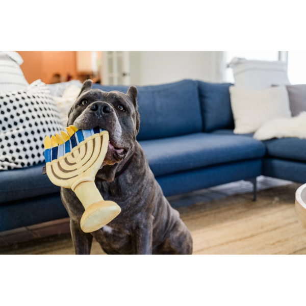 P.L.A.Y. Pet Lifestyle and You Paw-Nukkah Menorah Dog Toy Online Sale