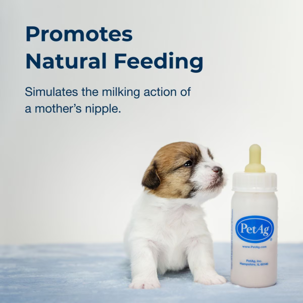 PetAg® Nurser Bottle for Kittens 2 oz on Sale