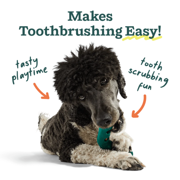 Woof Pet Bite n  Brush Refills Dog Treat Online now