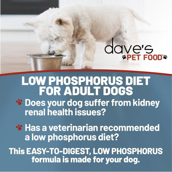 Dave s Pet Food Restricted Phosphorus & Kidney Support Tuna Dinner Canned Dog Food, 13.2-oz Discount