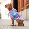 Spark Paws Velvet Dog Hoodie Snow Cone Hot on Sale