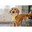 P.L.A.Y. Pet Lifestyle and You Paw-Nukkah Menorah Dog Toy Online Sale