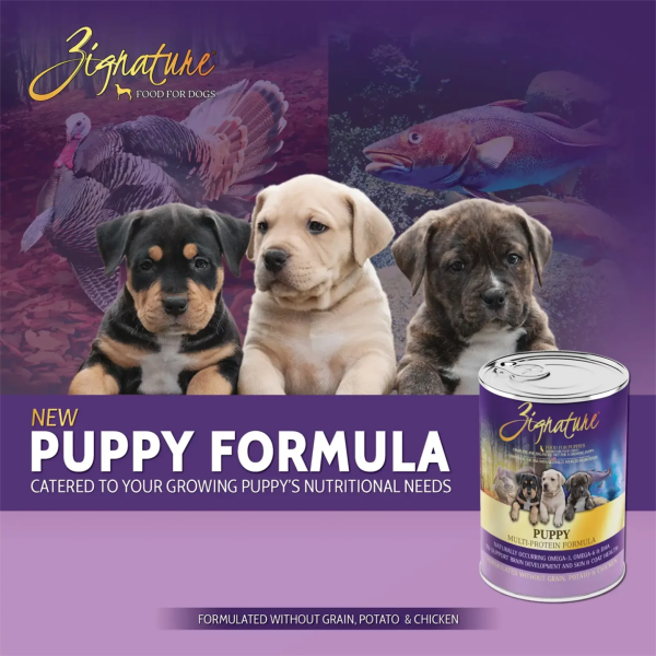 Zignature Puppy Limited Ingredient Formula Canned Dog Food 13oz Online Sale