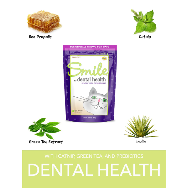 InClover Smile Dental Support Supplement Soft Chew for Cats For Discount