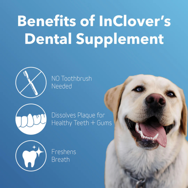 InClover Dental Supplement for Dogs + Cats (BioBrilliant) Hot on Sale