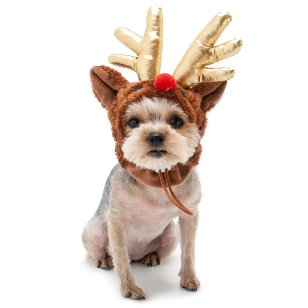 Dogo Pet Rudolph Hat for Dogs For Discount