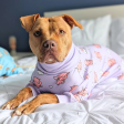 Spark Paws Dog Pajama When Pigs Fly Online Hot Sale