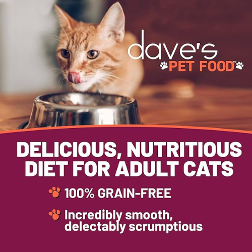 Dave s Pet Food Naturally Healthy Grain-Free Shredded Salmon Dinner in Gravy Canned Cat Food, 5.5-oz Online now