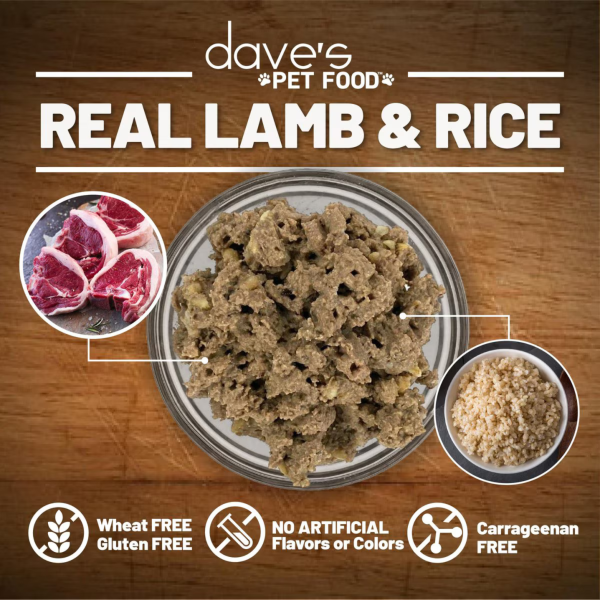 Dave s Pet Food Restricted Diet Lamb & Rice Delicate Dinner Canned Dog Food, 13-oz on Sale