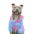 Spark Paws Velvet Dog Hoodie Snow Cone Hot on Sale