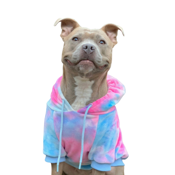 Spark Paws Velvet Dog Hoodie Snow Cone Hot on Sale