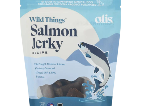 Otis Wild Things Salmon Recipe Jerky Dog Treats 4 oz Online