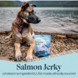 Otis Wild Things Salmon Recipe Jerky Dog Treats 4 oz Online