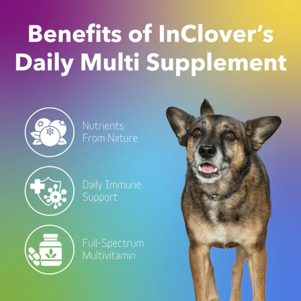 InClover Daily Multi – Multivitamin Supplement for Dogs + Cats Online Sale