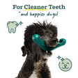 Woof Pet The Bite n  Brush Dog Toy Supply