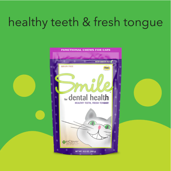 InClover Smile Dental Support Supplement Soft Chew for Cats For Discount