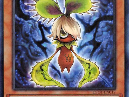 Evilswarm Mandragora [EGO1-EN012] Common on Sale