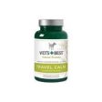 Bramton Company - Vet s+best Travel Calm For Dogs Online Sale