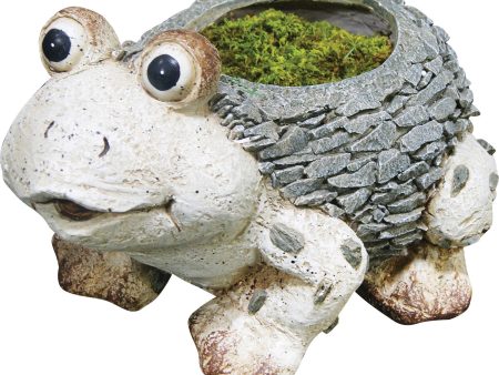 Alpine Corporation - Frog Planter Online now