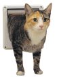 Petsafe-Electronics-2-way Locking Cat Door on Sale